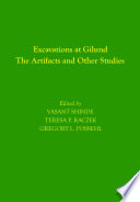 Excavations at Gilund : the artifacts and other studies /