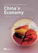 China's economy 2010