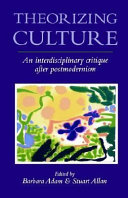 Theorizing culture an interdisciplinary critique after postmodernism /