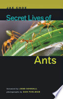 Secret lives of ants