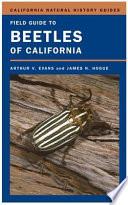 Field guide to beetles of California