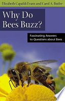 Why do bees buzz? fascinating answers to questions about bees /