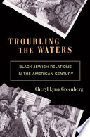 Troubling the waters Black-Jewish relations in the American century /