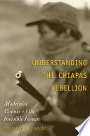 Understanding the Chiapas rebellion modernist visions and the invisible Indian /