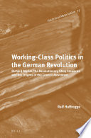 Working class politics in the German Revolution : Richard Müller, the revolutionary shop stewards and the origins of the council movement /