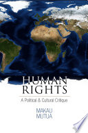 Human rights a political and cultural critique /