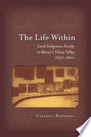The life within local indigenous society in Mexico's Toluca Valley, 1650-1800 /