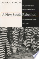 A new South rebellion the battle against convict labor in the Tennessee coalfields, 1871-1896 /