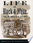 Life in black and white family and community in the slave South /