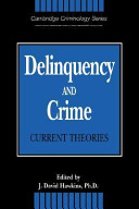 Delinquency and crime : current theories /