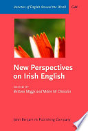 New perspectives on Irish English