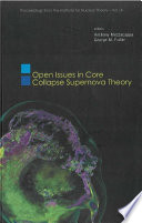 Open issues in core collapse supernova theory