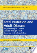 Fetal nutrition and adult disease programming of chronic disease through fetal exposure to undernutrition /