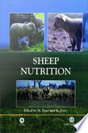 Sheep nutrition