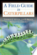 Caterpillars in the field and garden a field guide to the butterfly caterpillars of North America /