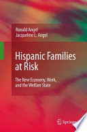 Hispanic Families at Risk The New Economy, Work, and the Welfare State /