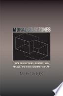 Moral gray zones side productions, identity, and regulation in an aeronautic plant /