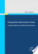 Exchange rate determination puzzle long run behavior and short run dynamics /