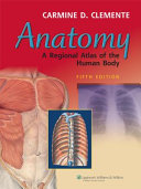 Anatomy : a regional atlas of the human body /