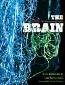 The brain big bangs, behaviors, and beliefs /