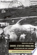 Twentieth-century shore-station whaling in Newfoundland and Labrador