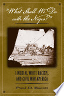 "What shall we do with the Negro?" Lincoln, white racism, and Civil War America /