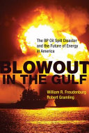 Blowout in the Gulf the BP oil spill disaster and the future of energy in America /