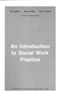 An introduction to social work practice /