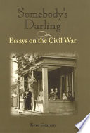 Somebody's darling essays on the Civil War /