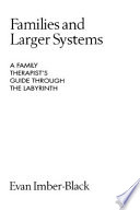 Families and larger systems : a family therapist's guide through ... /