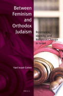 Between feminism and Orthodox Judaism resistance, identity, and religious change in Israel /