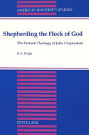 Shepherding the flock of God : the pastoral theology of John Chrysostom /