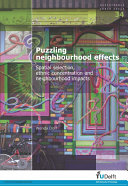 Puzzling neighbourhood effects spatial selection, ethnic concentration and neighbourhood impacts /