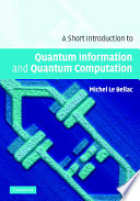 A short introduction to quantum information and quantum computation