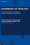 Coleoptera, beetles.