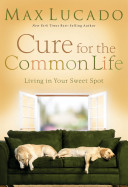 Cure for the common life : living in your sweet spot /