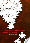 Metaphors dead and alive, sleeping and waking a dynamic view /