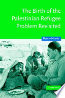 The birth of the Palestinian refugee problem revisited