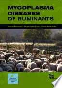 Mycoplasma diseases of ruminants