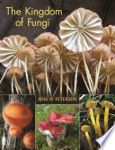 The kingdom of fungi