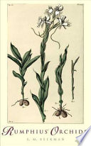 Rumphius' orchids orchid texts from The Ambonese herbal /