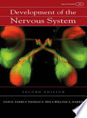 Development of the nervous system