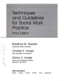 Techniques and guidelines for social work practice /