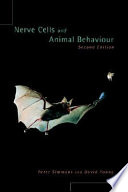 Nerve cells and animal behaviour