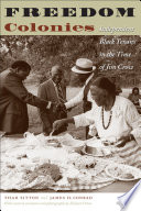 Freedom colonies independent Black Texans in the time of Jim Crow /