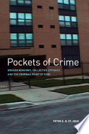 Pockets of crime broken windows, collective efficacy, and the criminal point of view /