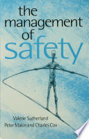 The management of safety the behavioural approach to changing organizations /
