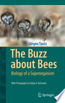 The Buzz about Bees Biology of a Superorganism /