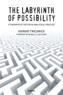 The labyrinth of possibility : a therapeutic factor in analytical practice /