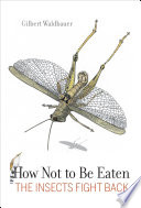 How not to be eaten the insects fight back /